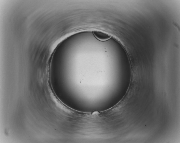 X0000099401526200805151653
