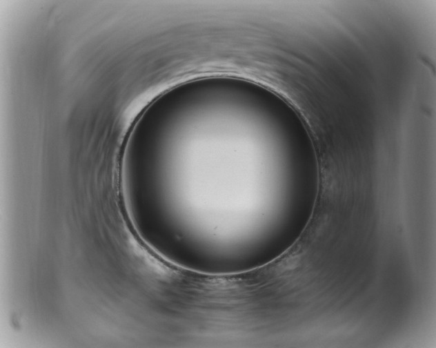 X0000099401527200805151653
