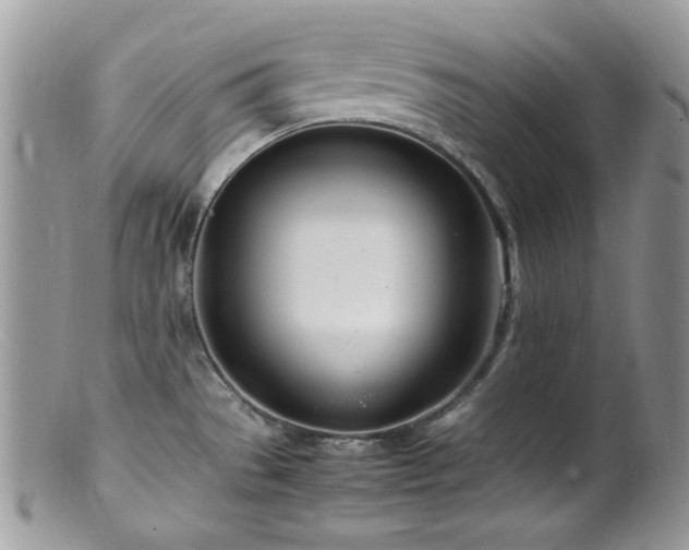 X0000099401529200805151654