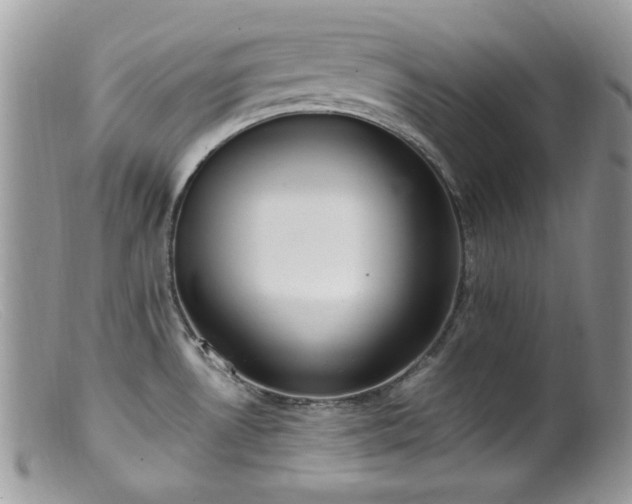 X0000099401530200805151654