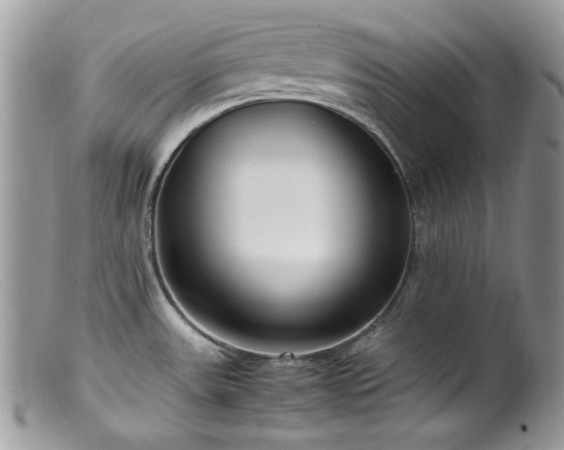 X0000099401531200805151654