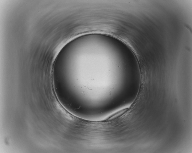 X0000099401532200805151654