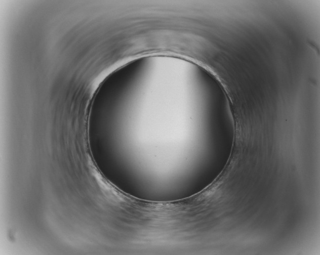 X0000099401534200805151654