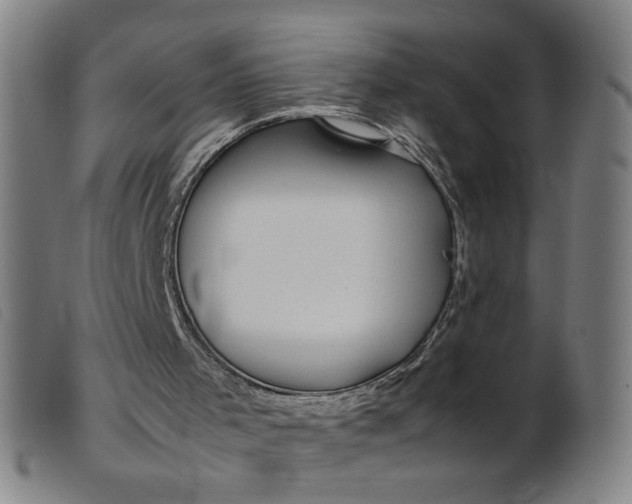 X0000099400001200805221906