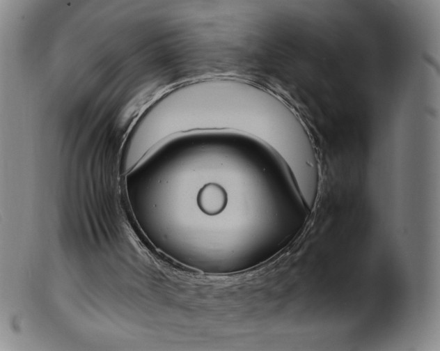 X0000099400002200805221906