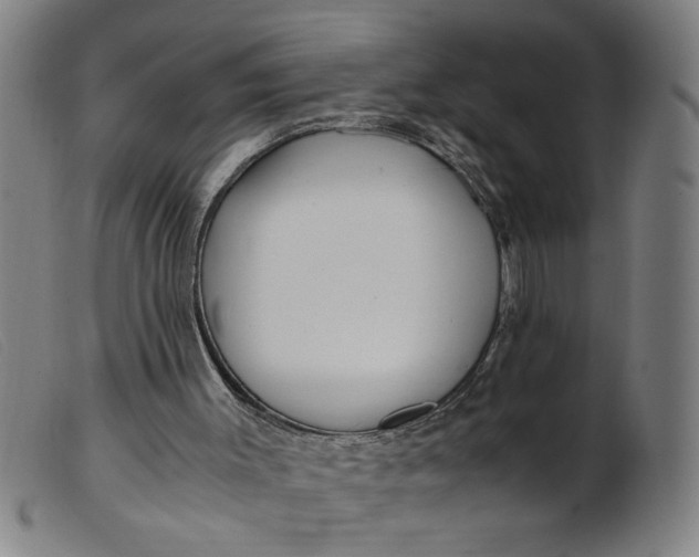 X0000099400003200805221906