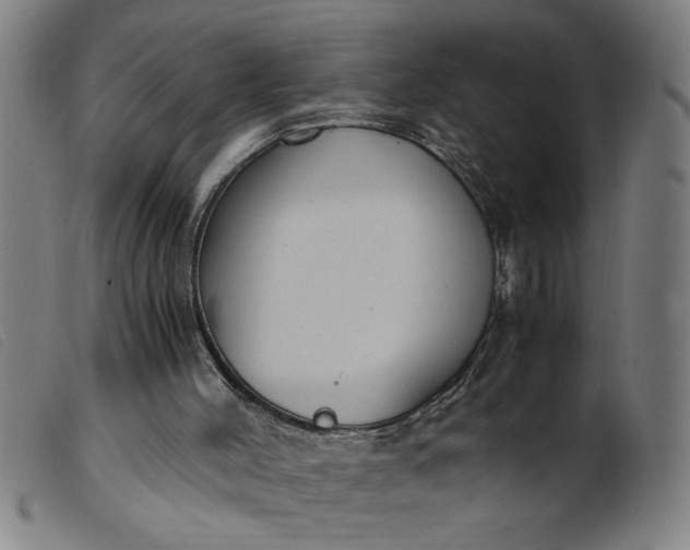 X0000099400004200805221906