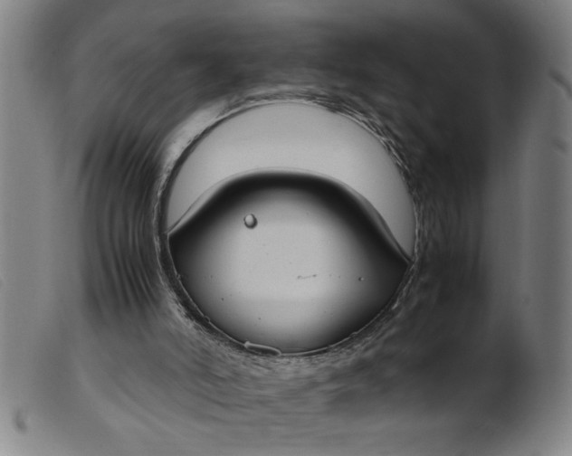 X0000099400006200805221906