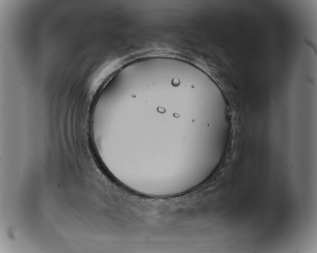 X0000099400007200805221906