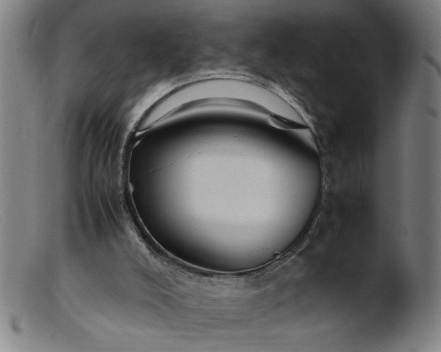 X0000099400008200805221906