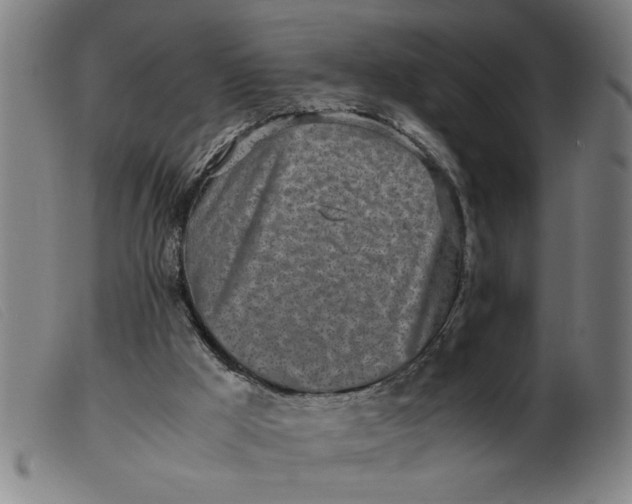 X0000099400009200805221906