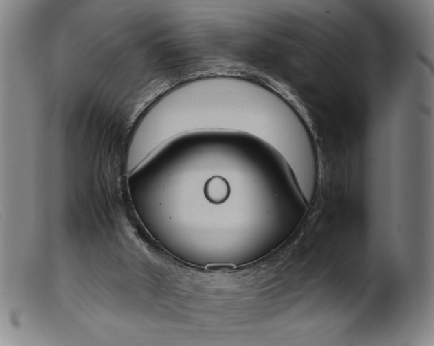 X0000099400010200805221906