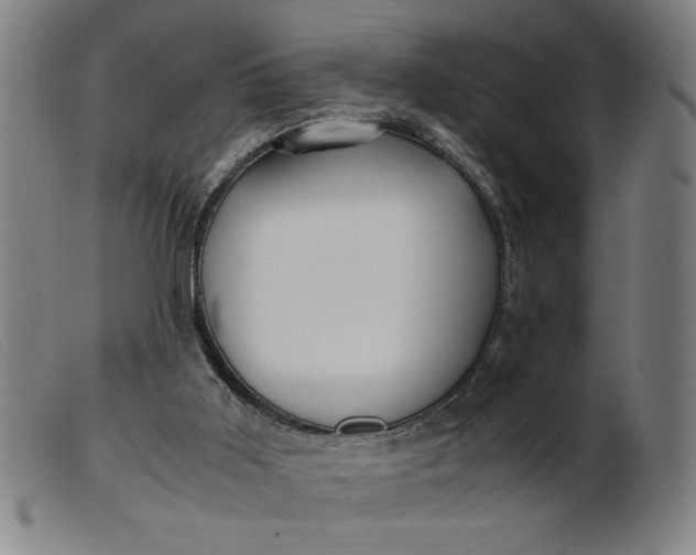 X0000099400011200805221906