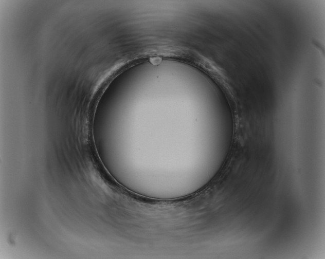 X0000099400012200805221906