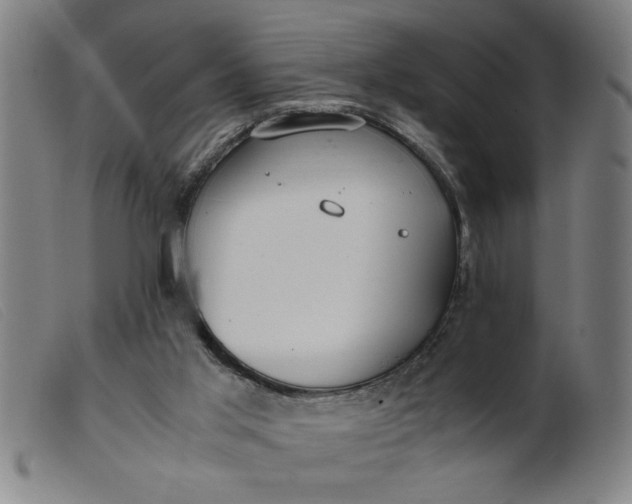 X0000099400013200805221906