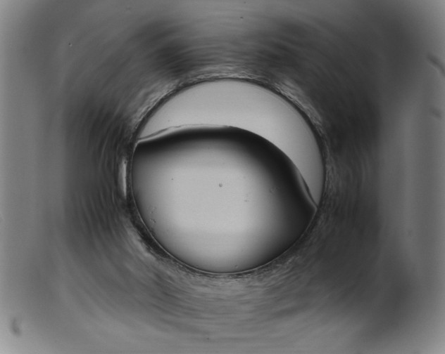 X0000099400014200805221906