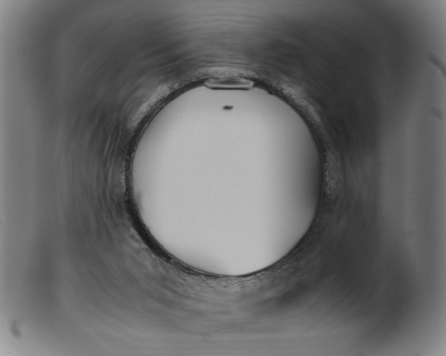 X0000099400015200805221906