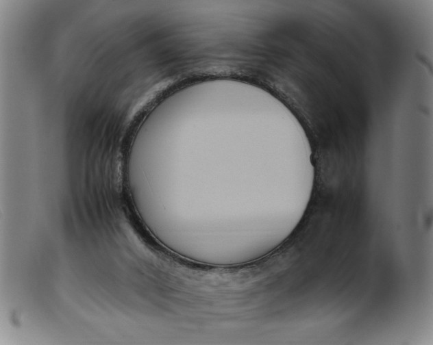 X0000099400016200805221906