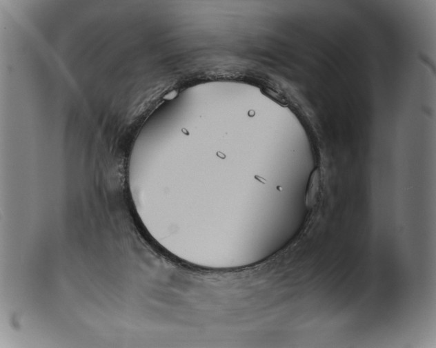 X0000099400017200805221906