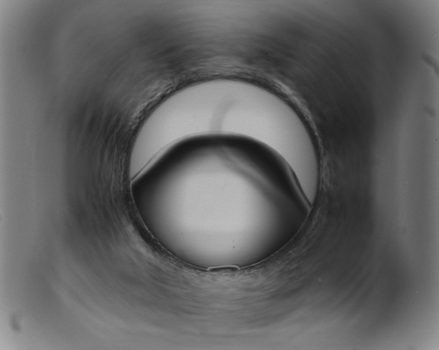 X0000099400018200805221906