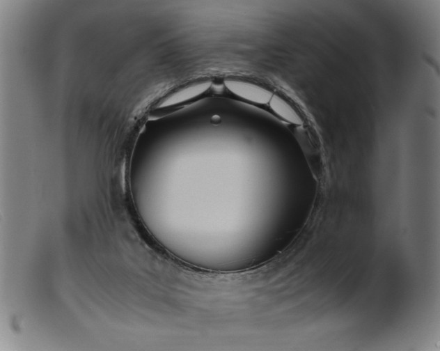 X0000099400019200805221906