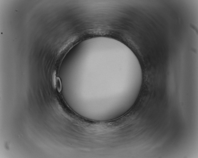 X0000099400020200805221906