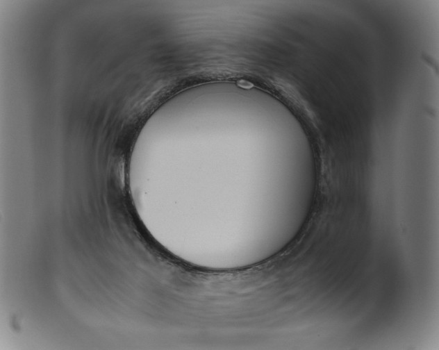 X0000099400021200805221906