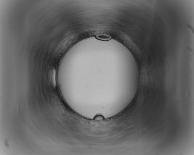 X0000099400022200805221906