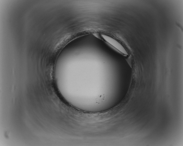 X0000099400023200805221906