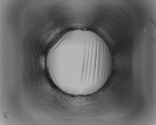 X0000099400024200805221906