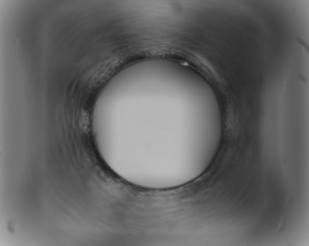 X0000099400025200805221906