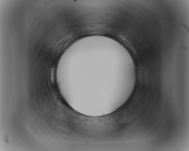 X0000099400026200805221906