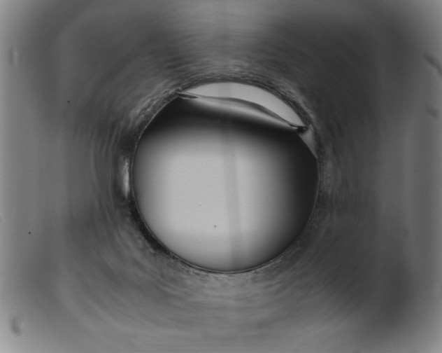 X0000099400027200805221906