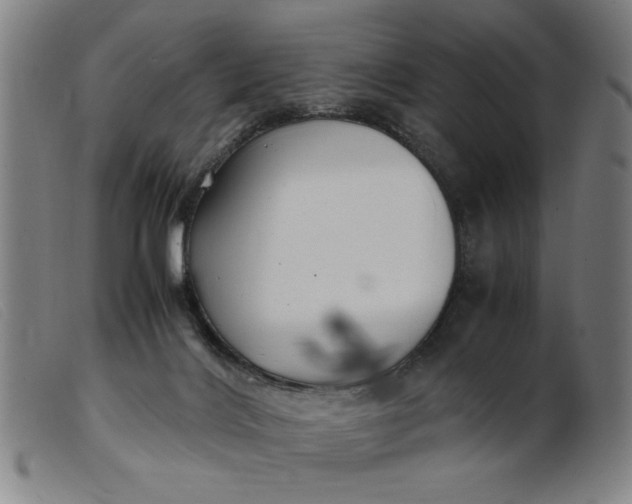 X0000099400028200805221906