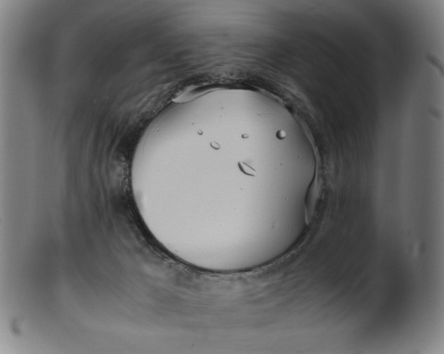 X0000099400029200805221906