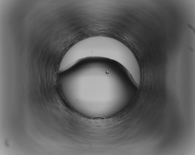 X0000099400030200805221906