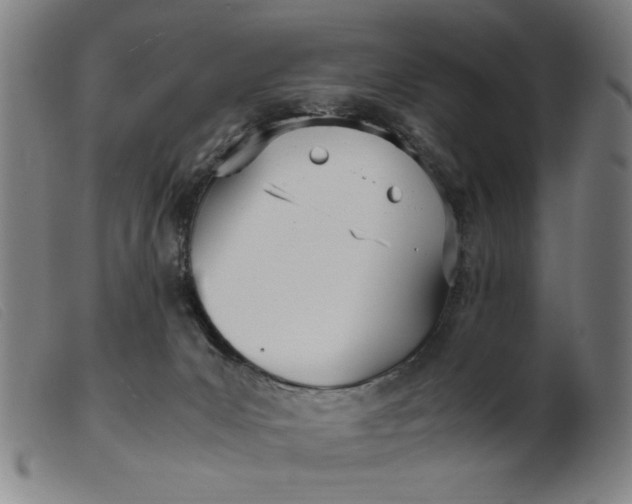 X0000099400031200805221906