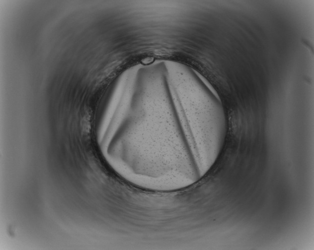 X0000099400032200805221906