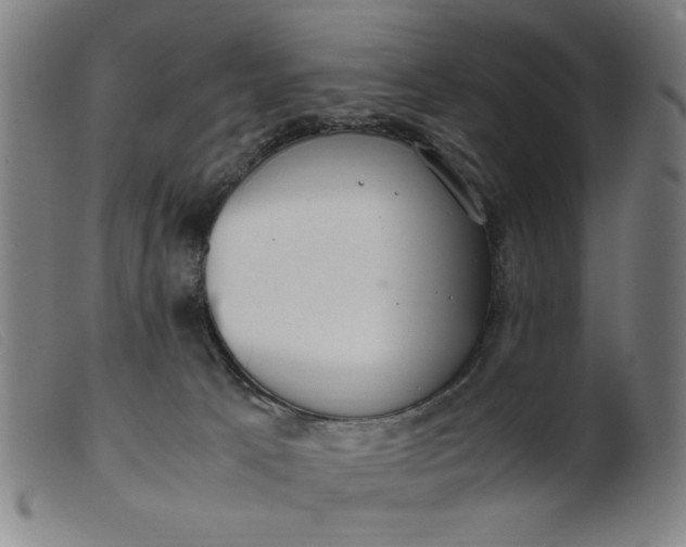 X0000099400033200805221906