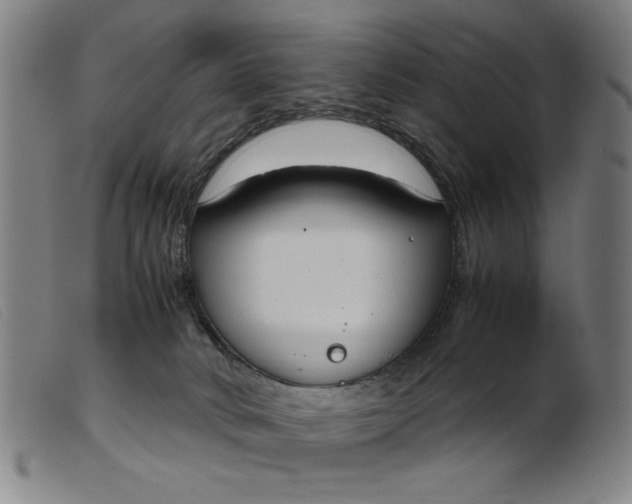 X0000099400034200805221906