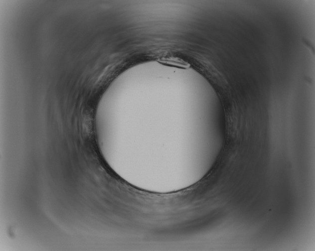 X0000099400035200805221906