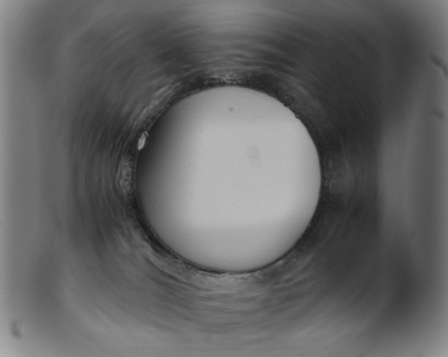 X0000099400036200805221906