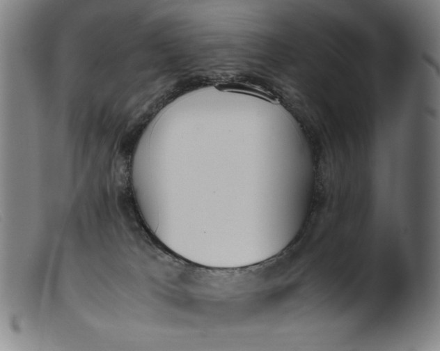 X0000099400037200805221906