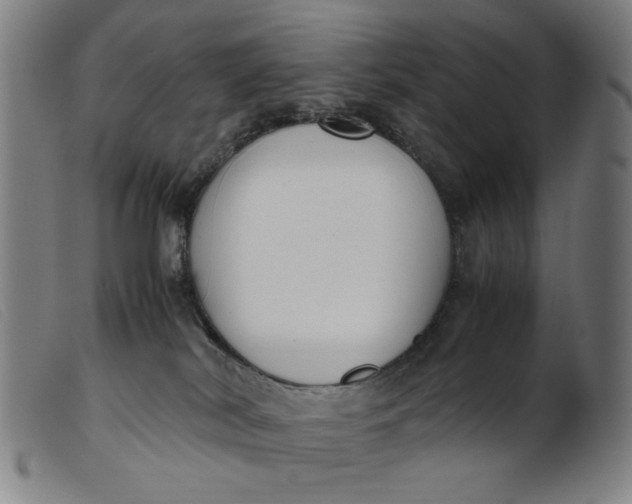 X0000099400038200805221906