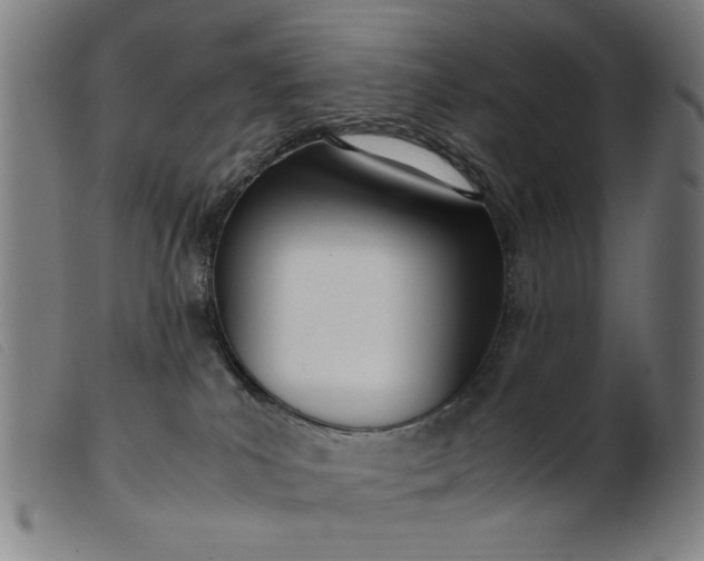 X0000099400039200805221906