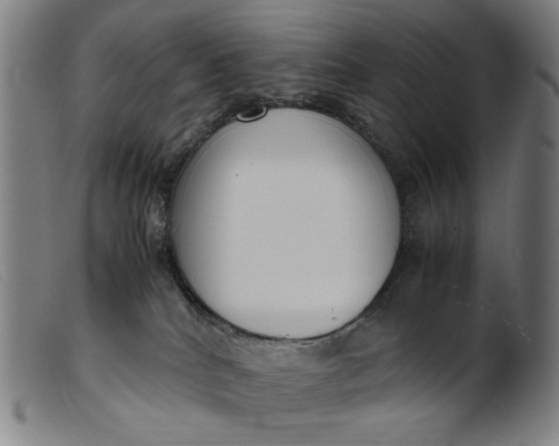 X0000099400040200805221906