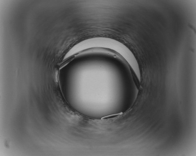 X0000099400041200805221906