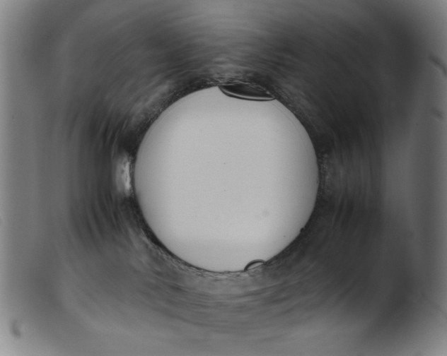 X0000099400042200805221906