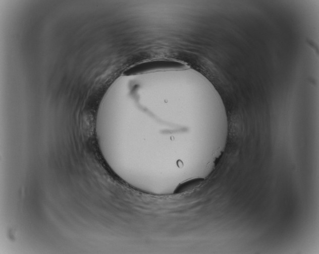 X0000099400043200805221906