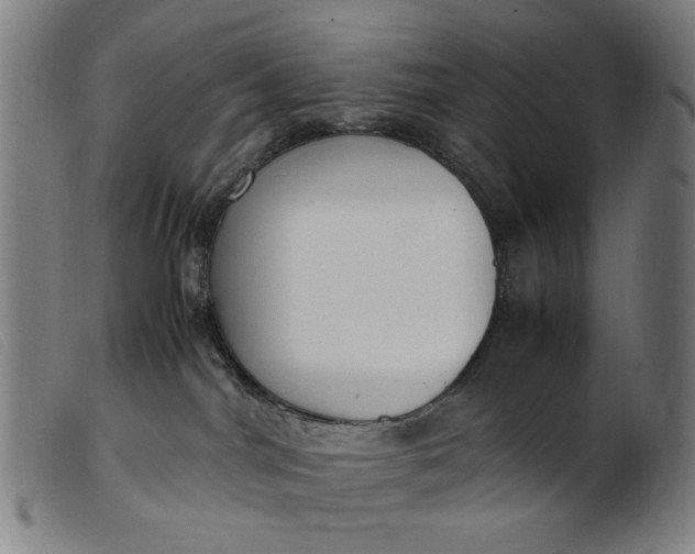 X0000099400044200805221906